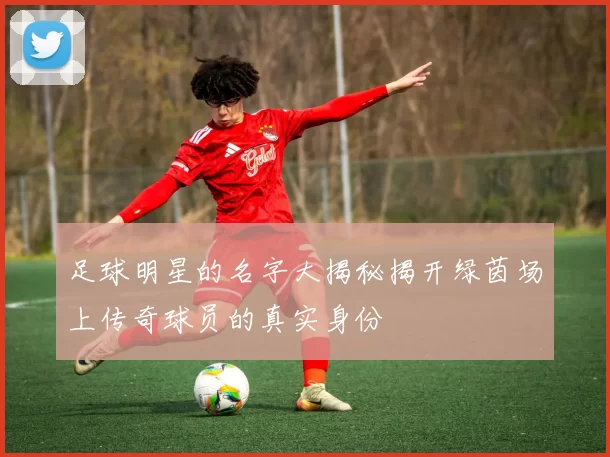 足球明星的名字大揭秘揭开绿茵场上传奇球员的真实身份
