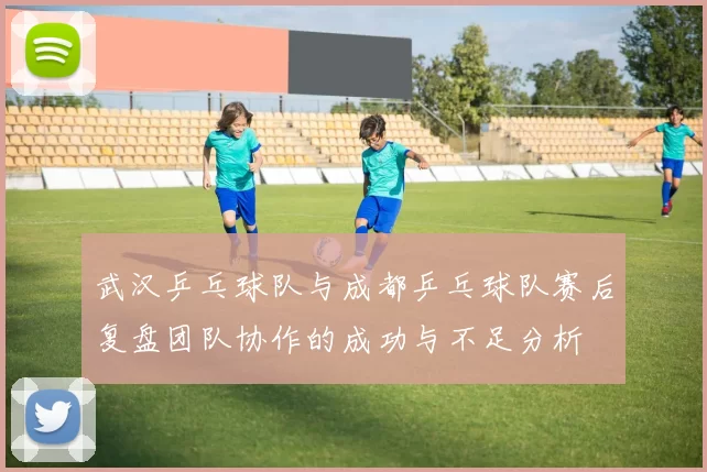 武汉乒乓球队与成都乒乓球队赛后复盘团队协作的成功与不足分析
