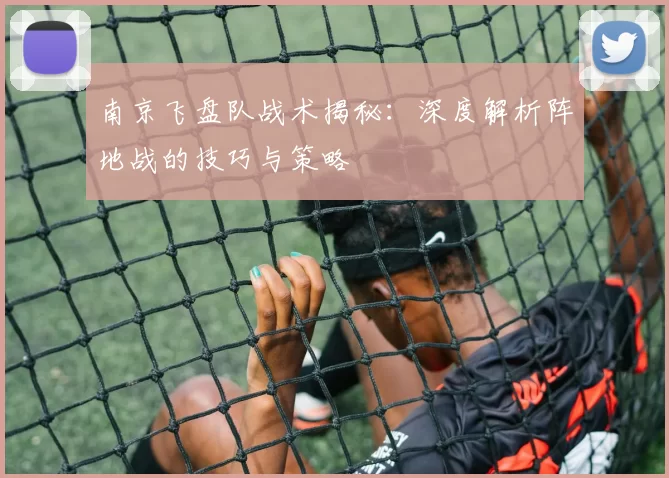 南京飞盘队战术揭秘：深度解析阵地战的技巧与策略