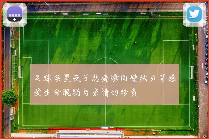 足球明星丧子悲痛瞬间壁纸分享感受生命脆弱与亲情的珍贵