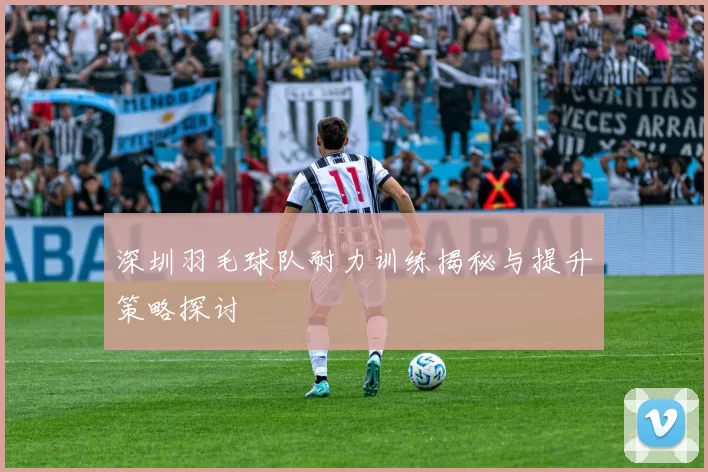 深圳羽毛球队耐力训练揭秘与提升策略探讨