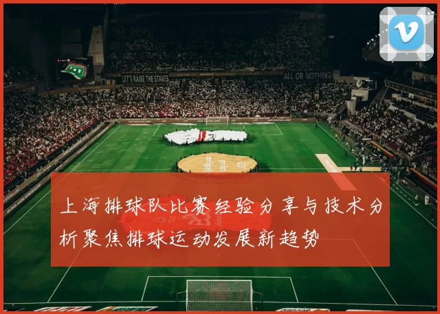 上海排球队比赛经验分享与技术分析聚焦排球运动发展新趋势