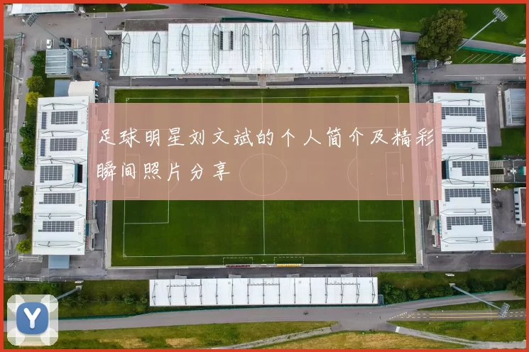 足球明星刘文斌的个人简介及精彩瞬间照片分享