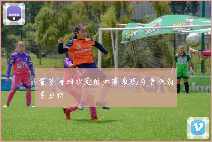 霍芬海姆欧冠附加赛表现与晋级前景分析