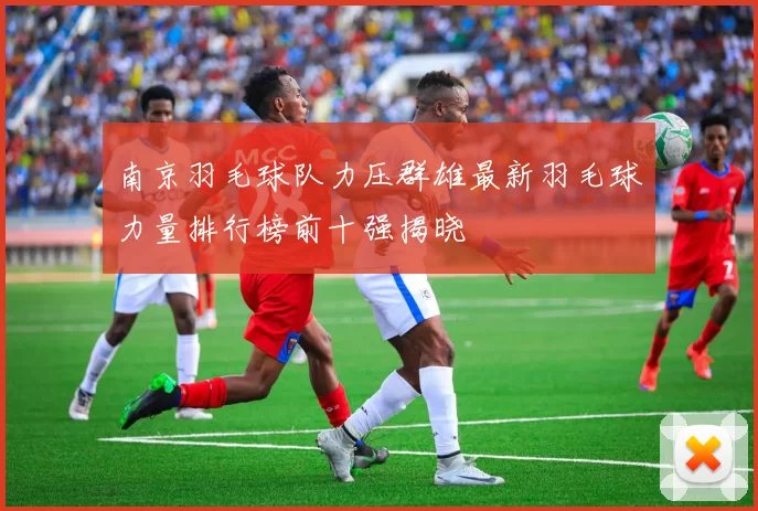 南京羽毛球队力压群雄最新羽毛球力量排行榜前十强揭晓