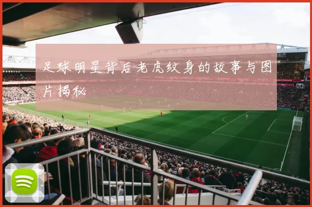 足球明星背后老虎纹身的故事与图片揭秘